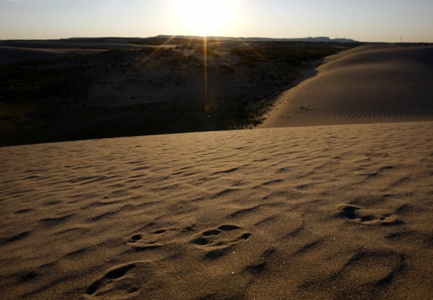 Red Desert